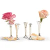 Single Stem Vase, Set of 5