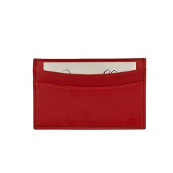 Slim Design Card Case