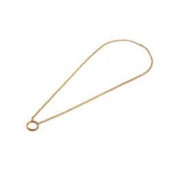 Small Belcher Chain with Bolt Clasp