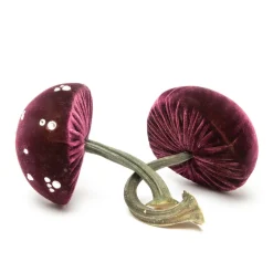 Small Eggplant Mushroom