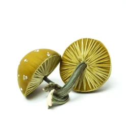 Small Leaf Mushrooms