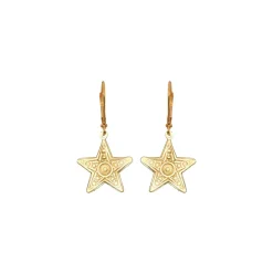 Small Star Earrings