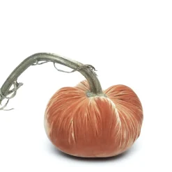 Spice Silk Velvet Pumpkin