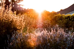 Stanly Ranch Napa, Luxury 5-Night Stay