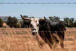 Stanly Ranch Napa, Luxury 5-Night Stay