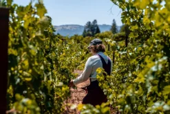 Stanly Ranch Napa, 2-Night Stay