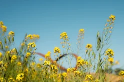 Stanly Ranch Napa, 2-Night Stay