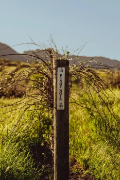 Stanly Ranch Napa, 2-Night Stay