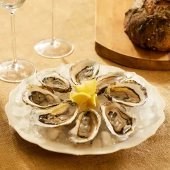 Stella Scalloped White Dinner Plate