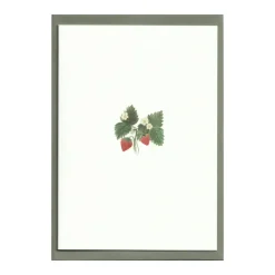 Strawberry Cards, Set of 5