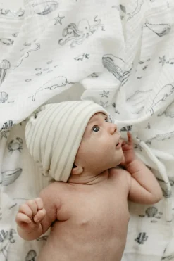 Swaddle in Life Aquatic