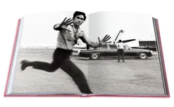 Swans: Legends of the Jet Society