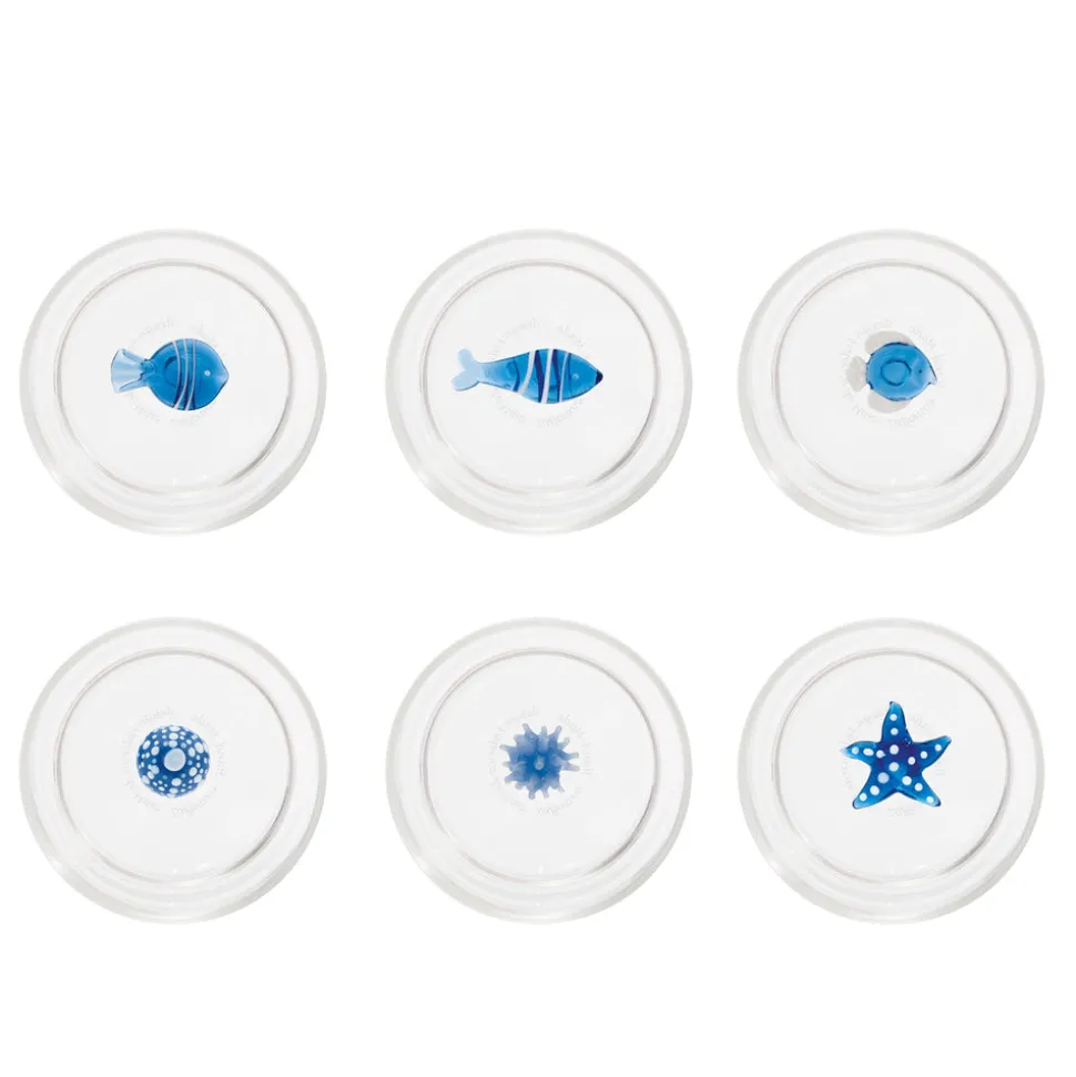 Teca Mare Tumbler, Set of 6