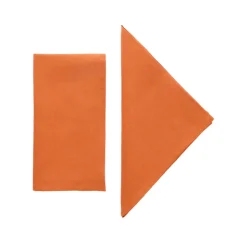 Terracotta Linen Napkins, Set of 4