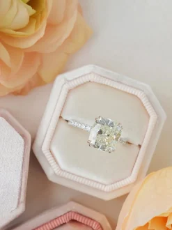 The Antonia Bevel Single