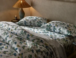 The Baudin Butterfly Collection