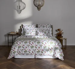 The Baudin Butterfly Collection