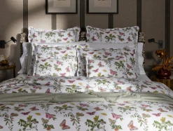 The Baudin Butterfly Collection