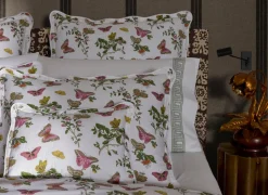 The Baudin Butterfly Collection