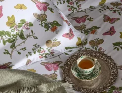 The Baudin Butterfly Collection