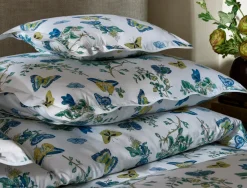 The Baudin Butterfly Collection