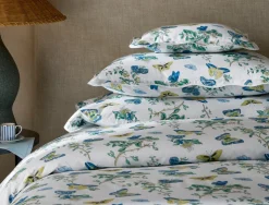 The Baudin Butterfly Collection