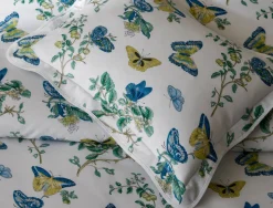 The Baudin Butterfly Collection