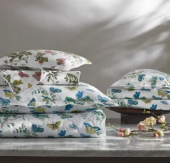 The Baudin Butterfly Collection