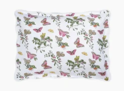 The Baudin Butterfly Collection