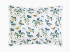 The Baudin Butterfly Collection