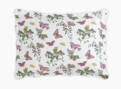 The Baudin Butterfly Collection