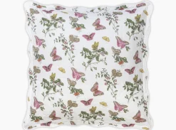 The Baudin Butterfly Collection