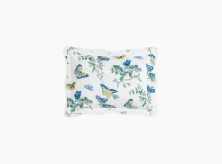 The Baudin Butterfly Collection