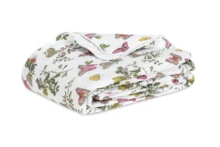 The Baudin Butterfly Collection