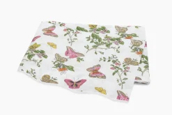 The Baudin Butterfly Collection