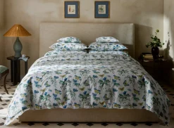 The Baudin Butterfly Collection