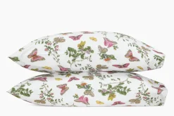 The Baudin Butterfly Collection