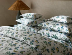 The Baudin Butterfly Collection