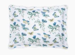 The Baudin Butterfly Collection