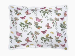 The Baudin Butterfly Collection