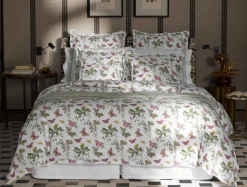 The Baudin Butterfly Collection