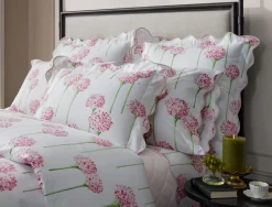 The Charlotte Collection