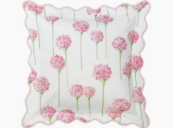 The Charlotte Collection