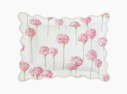 The Charlotte Collection