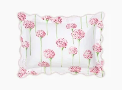 The Charlotte Collection