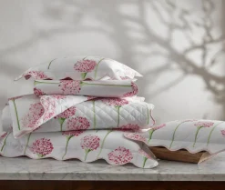 The Charlotte Collection