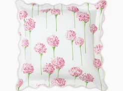 The Charlotte Collection