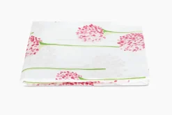 The Charlotte Collection