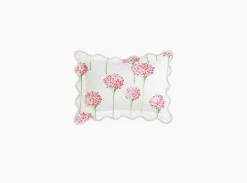 The Charlotte Collection