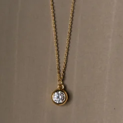 The Dainty Necklace